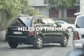 assicurazioni auto, linear, blonde suite