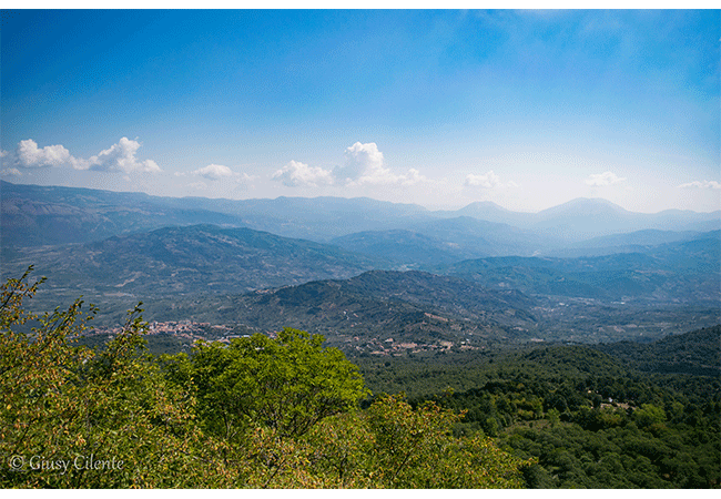val calore, trentinara, meridione mon amour, sud italia, paesi del cilento, blonde suite,