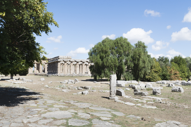 luoghi da visitare cilento paestum
