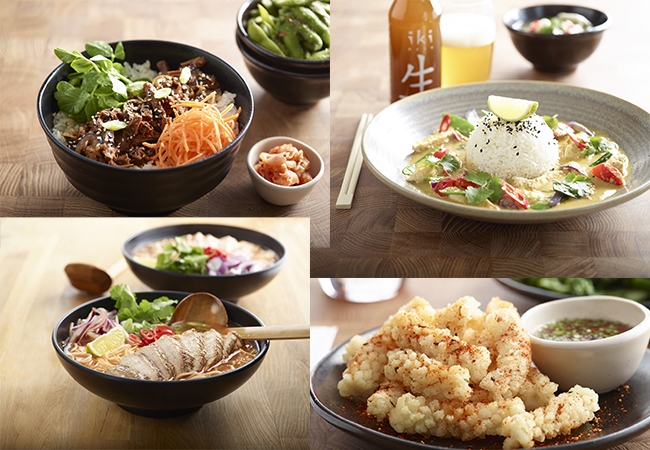wagamama-bergamo-oriocenter-cucina-giapponese-ario-al-serio-piatti