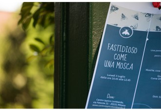 fastidioso come una mosca puliti e felici rimedi assochimica centro ippico lombardo