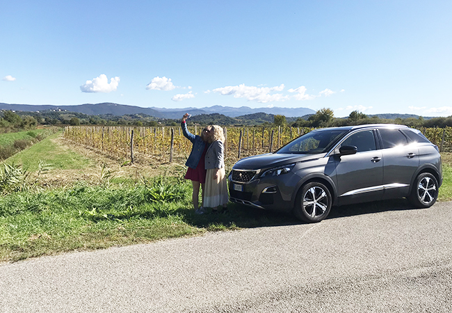 collio friulano peugeot 3008 gti fiume isonzo colline cantina aperitivo via del vino gorizia