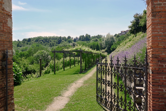 vistaterra canavese territorio ivrea enogastronomia sostenibilita cibo goumet ristorante spa biolago sentieri nel verde prodotti locali vigneto