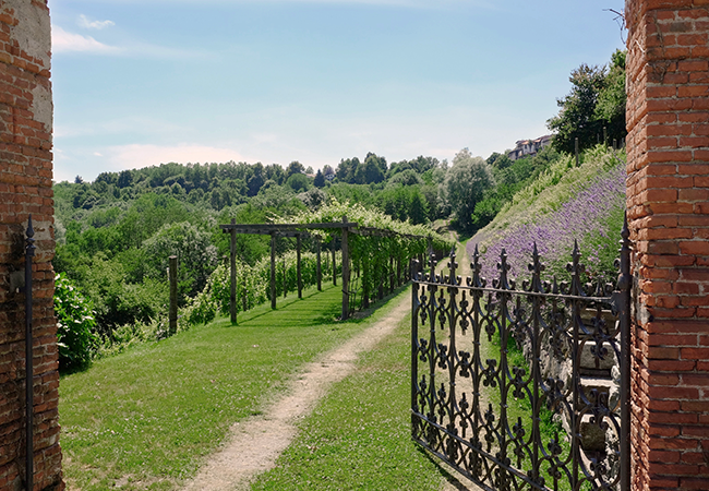 vistaterra canavese territorio ivrea enogastronomia sostenibilita cibo goumet ristorante spa biolago sentieri nel verde prodotti locali vigneto