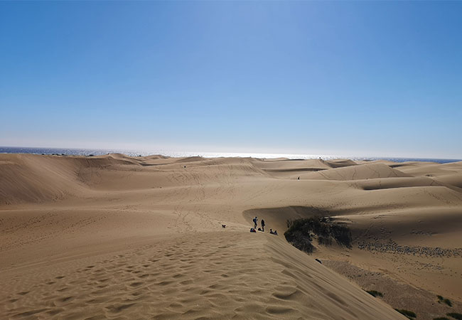 viaggio a gran canaria dune di maspalomas deserto oceano sabbia mare